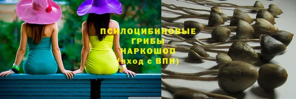 наркотики Белокуриха