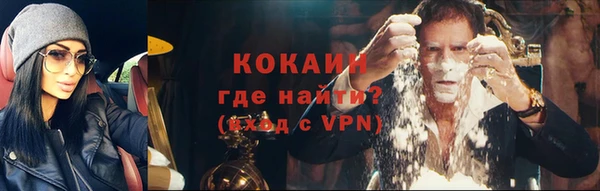 ПСИЛОЦИБИНОВЫЕ ГРИБЫ Богданович