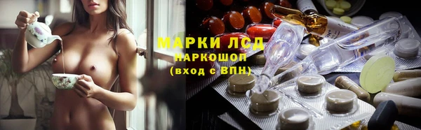 ПСИЛОЦИБИНОВЫЕ ГРИБЫ Богданович