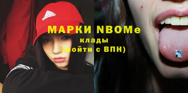 ПСИЛОЦИБИНОВЫЕ ГРИБЫ Богданович