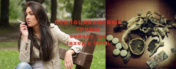 метадон Богородицк